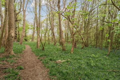 Woodland