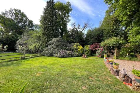 new garden.jpg