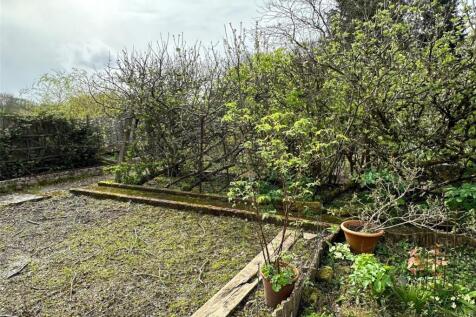 Vegetable Garden