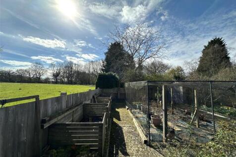 Vegetable Garden