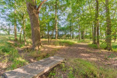 Woods