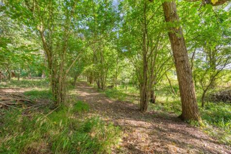 Woods