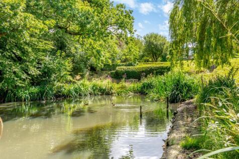 Pond