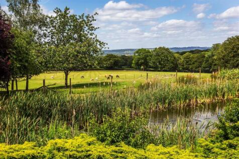 Pond