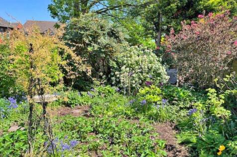 Garden new d