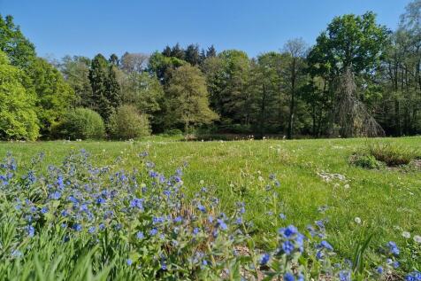 32 Acres Ground