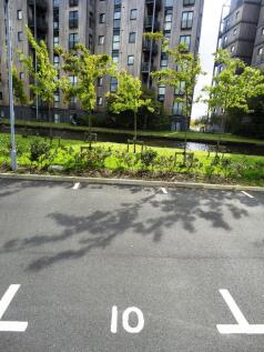 Allocated parking