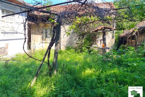 Property Image 11