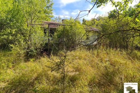 Property Image 17