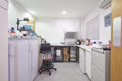 Photo 19