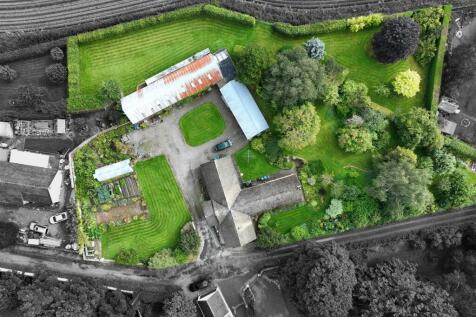 DJI_0217.jpg