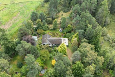 DJI_0428.jpg