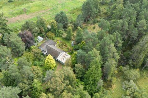 DJI_0429.jpg