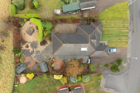 DJI_0772.jpg