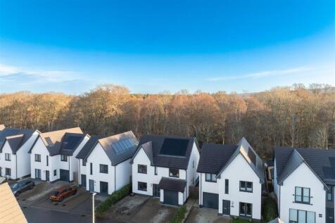 DJI_0974-Enhanced-NR.jpg