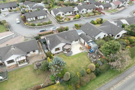DJI_0505.jpg
