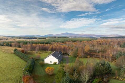DJI_0279 (2).jpg