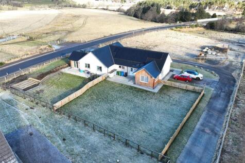 DJI_0121.jpg