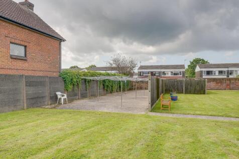Shared Lawn