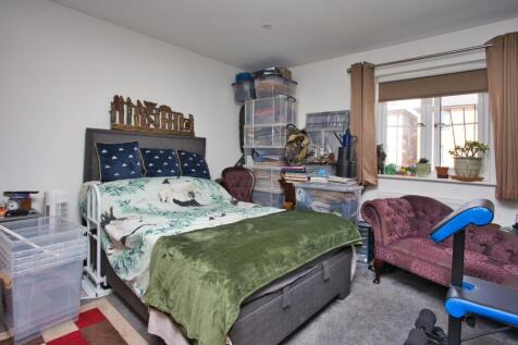 Picture 7