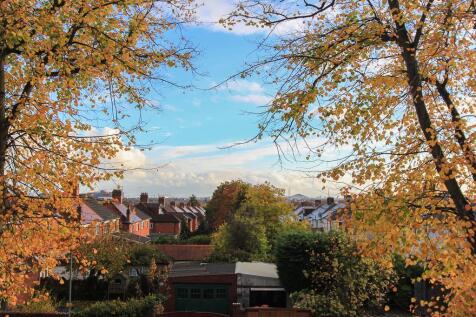 4 Ferny Court, Waterloo Road LR (11 of 15).jpg