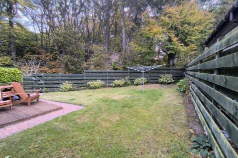 IMG_20251008_095120145_HDR_AE
