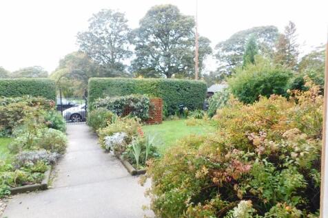 4973-20201201163119-DSCN1370-800×600-1