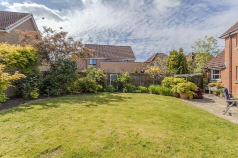 Property Image 44