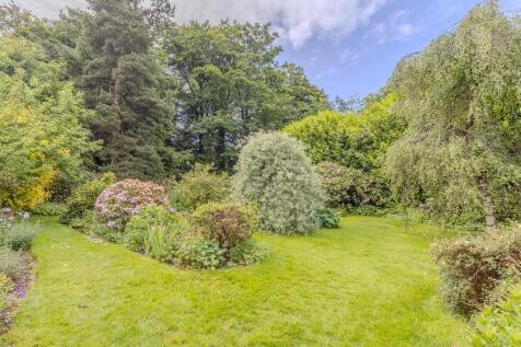 Property Image 46