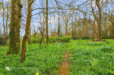 Property Image 29