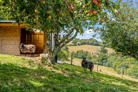 Property Image 33