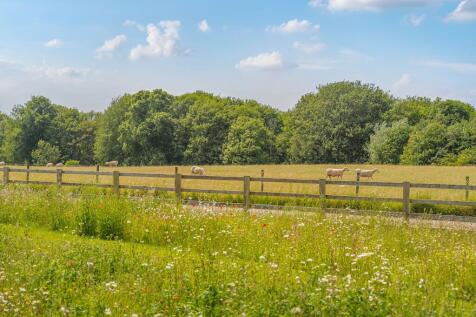 Property Image 31