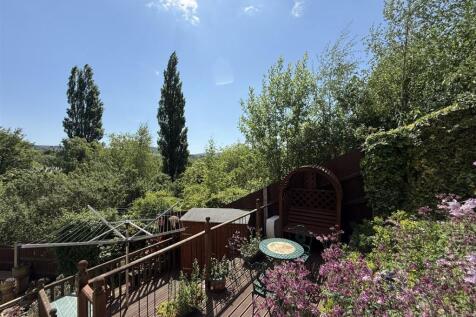 IMG_3737.jpeg