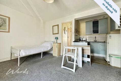 Living/Bedroom Area 
