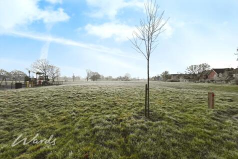 b87eb01c-IMG_2031
