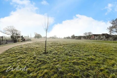 449d4206-IMG_2038