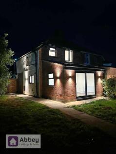 Rear Garden (Twilight)