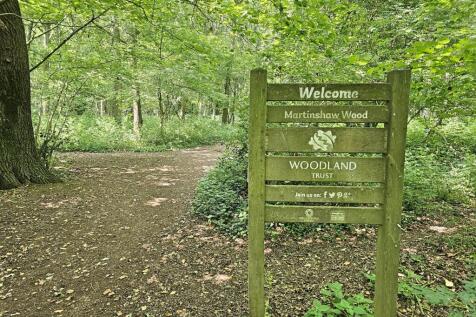 Martinshaw Wood