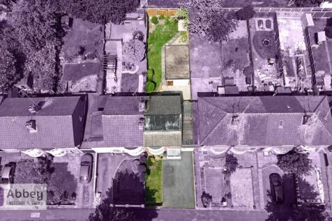 Plot View