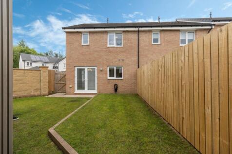 Back garden