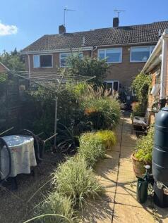 garden 2.jpg