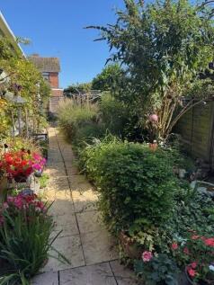 garden.jpg