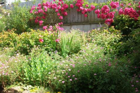 Hillside Cottage June 2019 (74).JPG