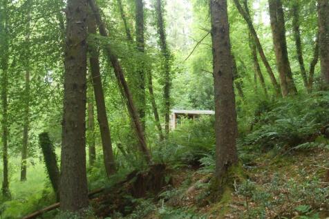 DSCN4854.JPG