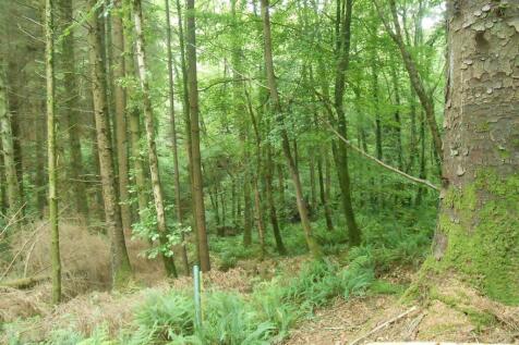 DSCN4860.JPG
