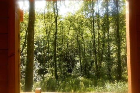 DSCN6065.JPG