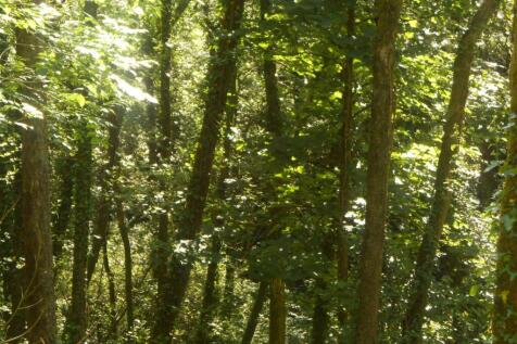 DSCN6068.JPG