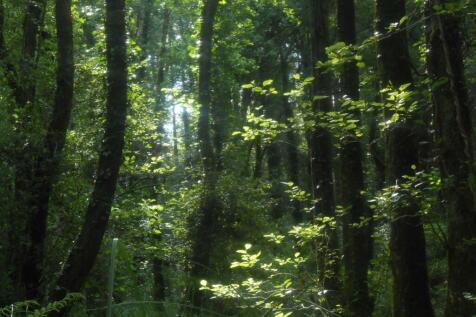 DSCN6133.JPG