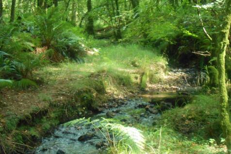 DSCN6148.JPG