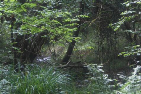 DSCN6273.JPG